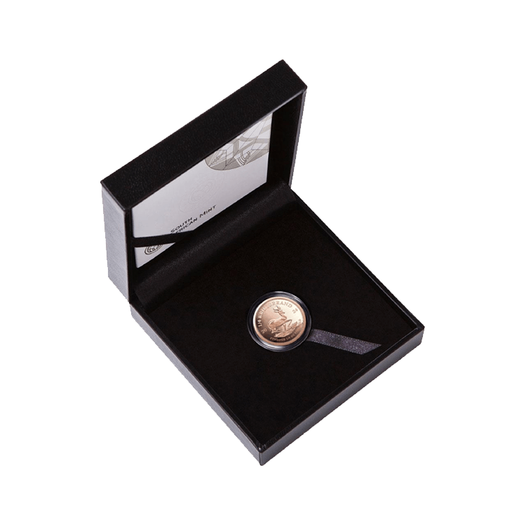 1/2 troy ounce gold coin Krugerrand 2024 Proof angle 2