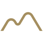 Logo The Silver Mountain
